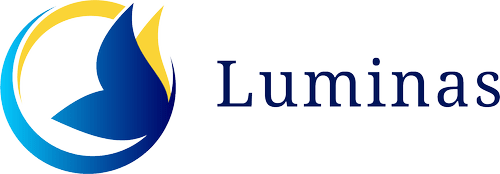 Luminas LLC